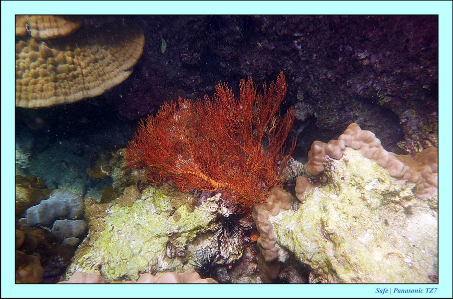 2011 - 07 - Koh Lipe 52